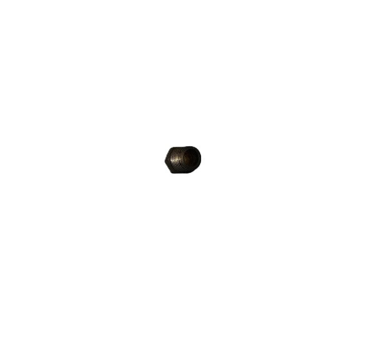 PLUG, 1/4" BSPT (PT)