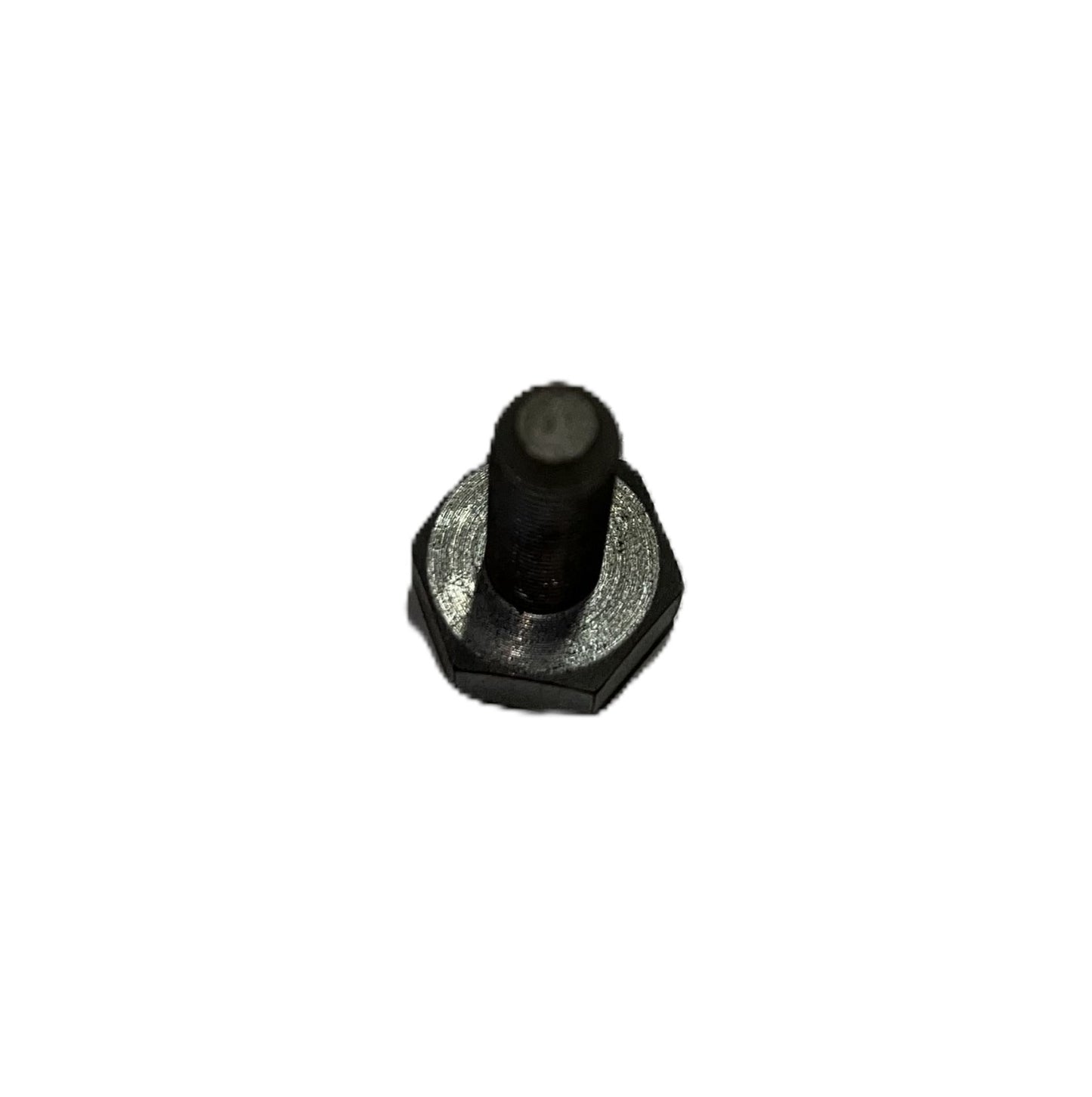 SCREW, FOR GUIDE ROD (5800)