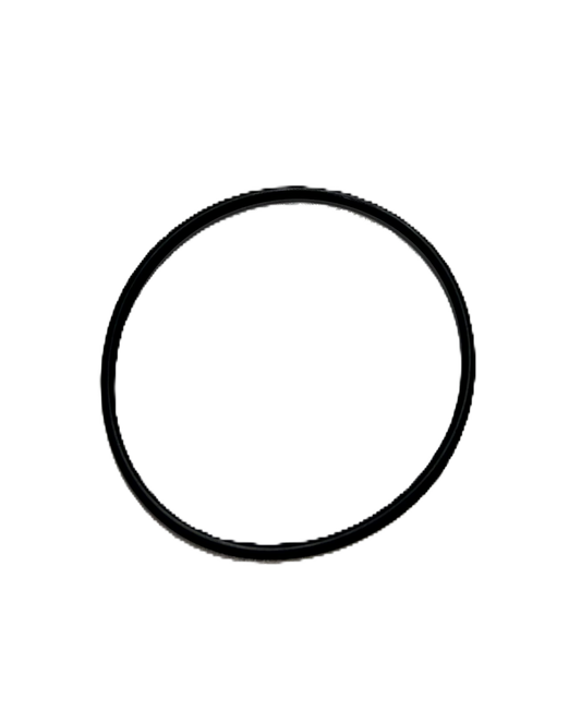 O-RING SEAL, LARGE