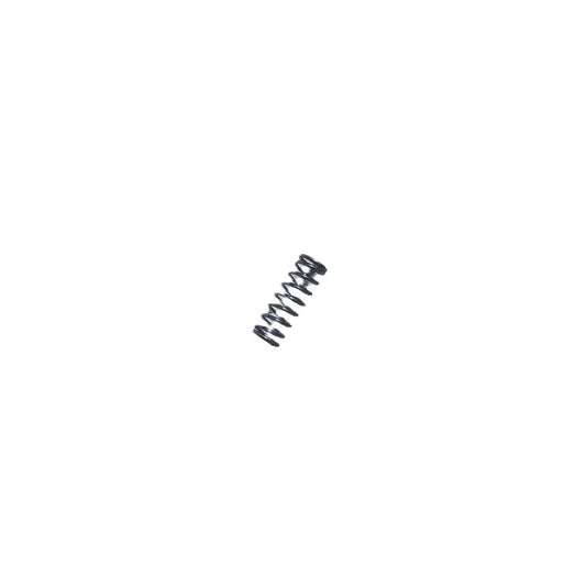 PLUNGER SPRING