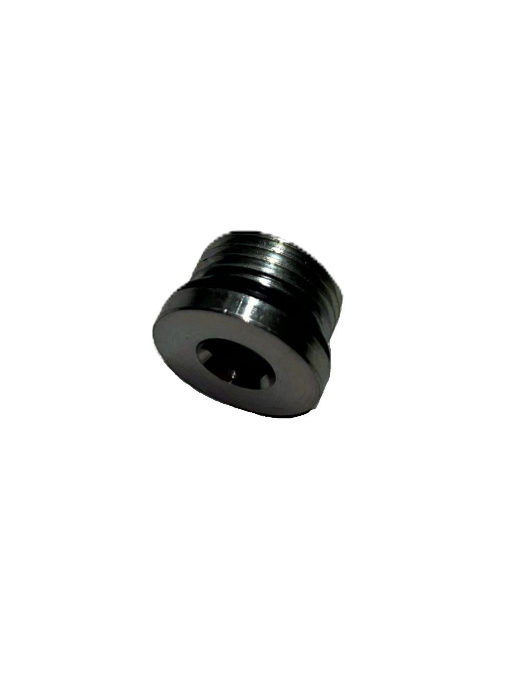 FITTING PLUG / FILL