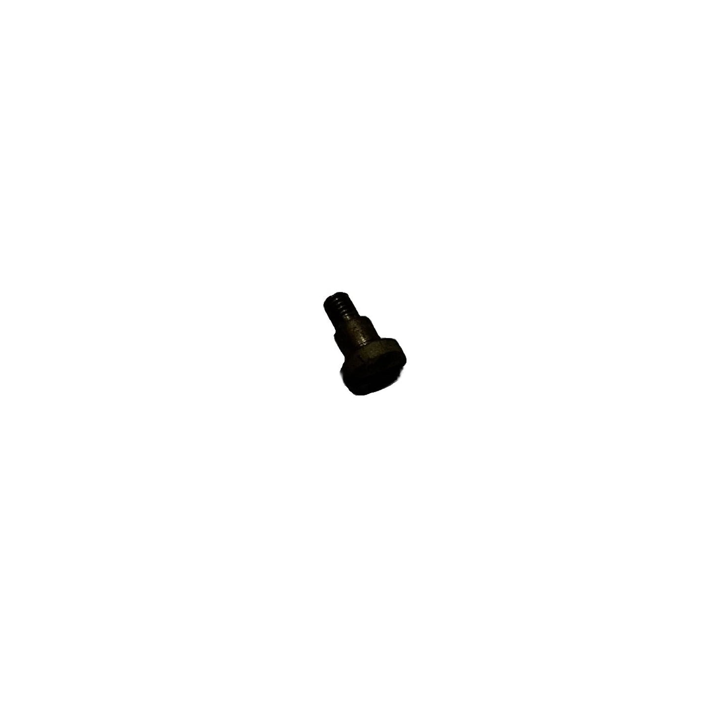 PIVOT BUSHING/SCREW, SMALL