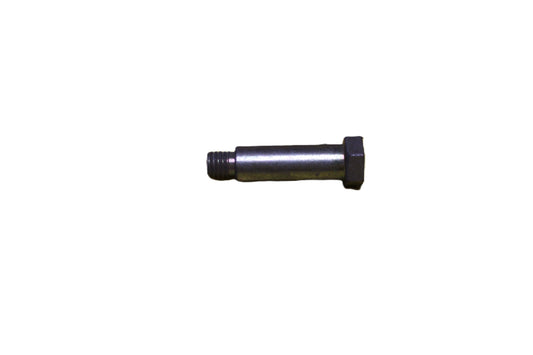 PIVOT SCREW